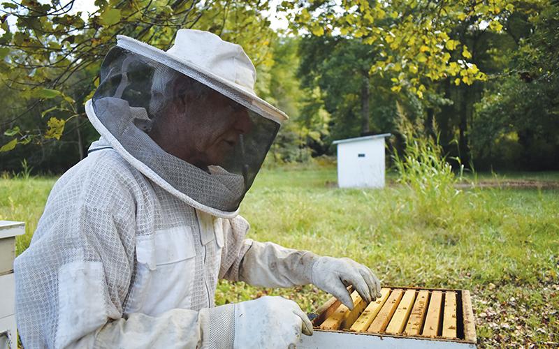 Don Reynolds keeps honeybees partly because of their vital role in our ecosystem.