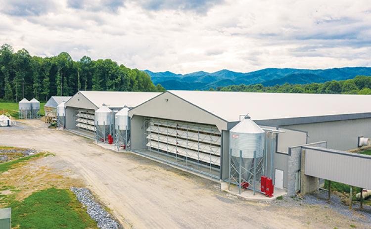 Dutt & Wagner egg farm outside Andrews produces about 500,000 eggs daily, making it one of the largest in the Southeast.