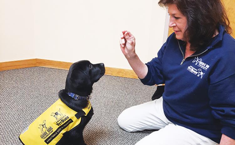 Anngee Quinones-Belian/Staff Correspondent Marcia Smith teaches Paulie to sit and offers him a treat when he does what’s asked of him. Paulie will grow up to be a service dog for a disabled veteran, first responder or visually impaired person